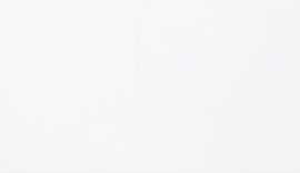 Плитка Snow Glossy 25x75
