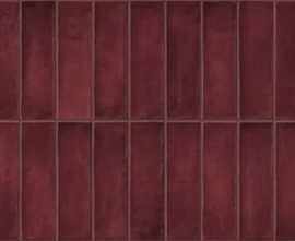 Керамогранит Deco Artis Plus Burdeos 32x62,5
