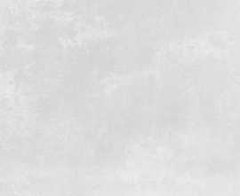 Керамогранит Organic Grey matt 60x120