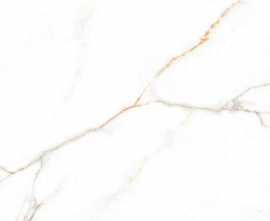Керамогранит Austrain natural glossy 60x60