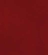 Плитка Materia Brillante Borgogna Brillante 50x120